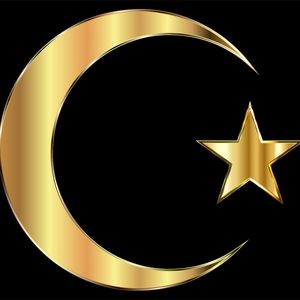 🌙 Crescentimage🌙